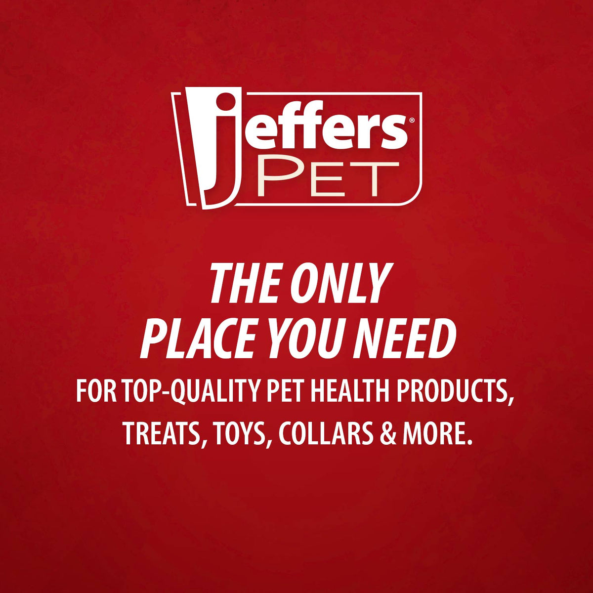 Jeffers Red Classic Stuffable Fetch & Chew Natural Rubber Treat Dispensing Dental Dog Toy