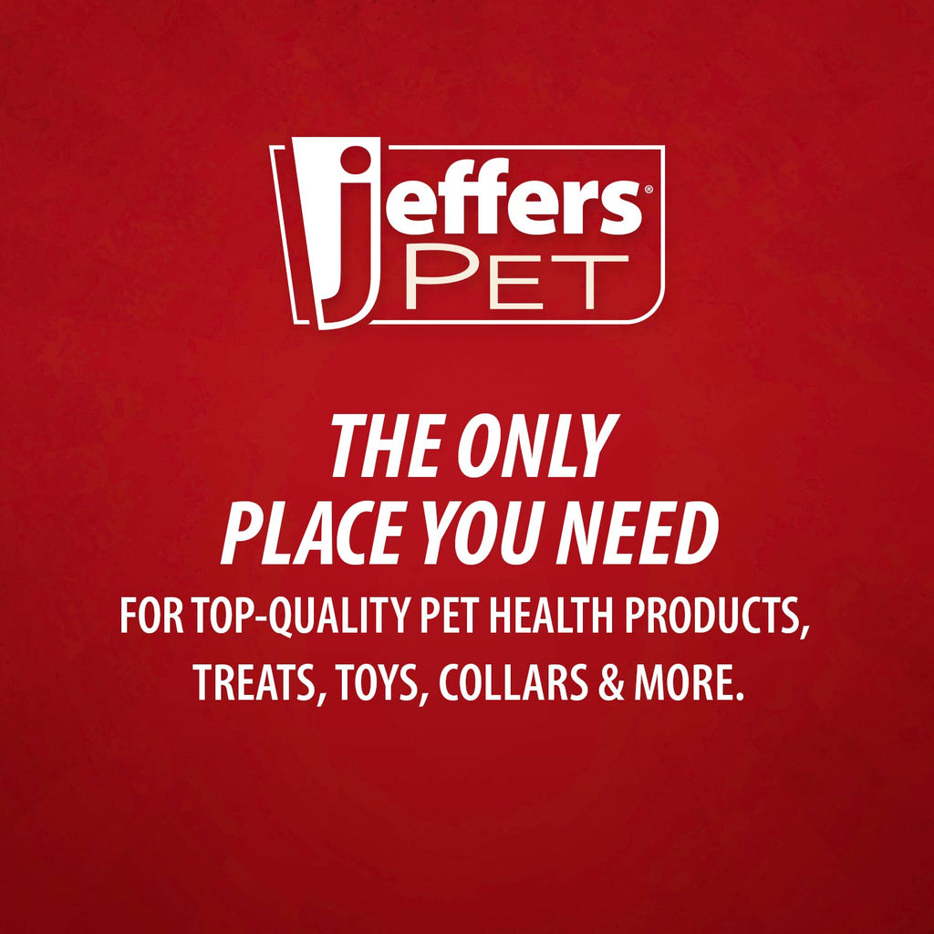 Jeffers Hollow Red Knobby Ball Natural Rubber Dental Treat Dispensing Dog Chew Toy