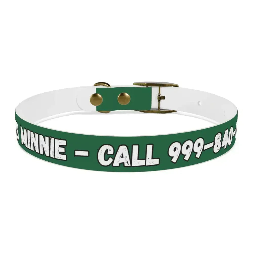 Personalized Pet Collar — Customize Dog Collars, Dog Accessories