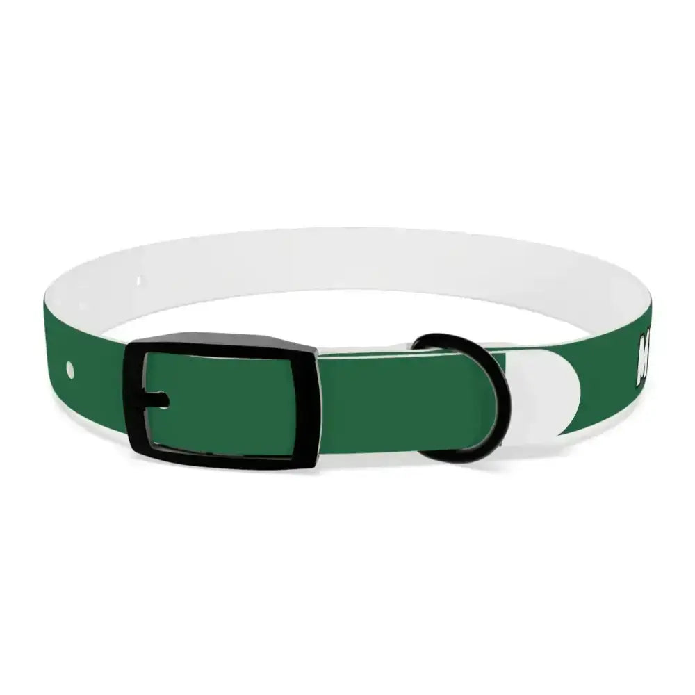 Personalized Pet Collar — Customize Dog Collars, Dog Accessories