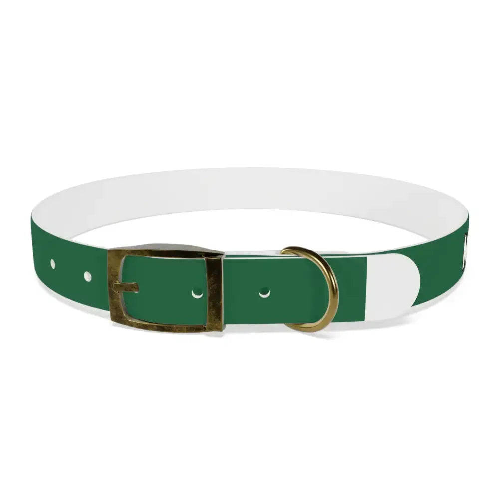 Personalized Pet Collar — Customize Dog Collars, Dog Accessories